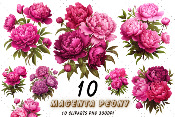 Download Magenta Peony Floral Sublimation Clipart - Peony Collection