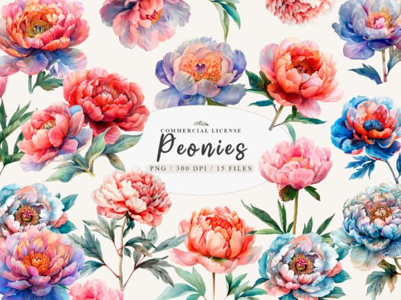 Download Peony Painting, Peony Clipart, Gardening - Peony Collection