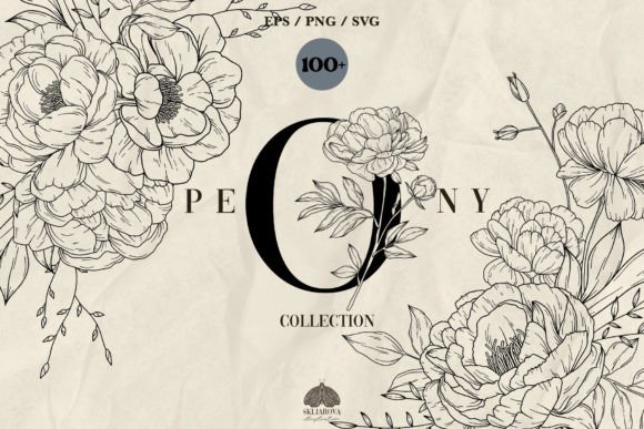 Download Peony Line Art Collection - Peony Collection