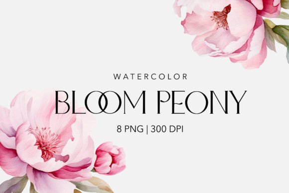 Download Watercolor Peony&amp;Magnolia Flowers - Peony Collection